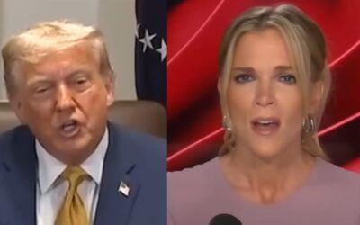 Megyn Kelly slams Trump, Bondi over nervous Epstein answers: ‘That was no bueno, guys’