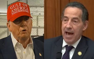 ‘Look out, Donald Trump’ – MSNBC guest giddy about blizzard of Raskin subpoenas if Dems retake House