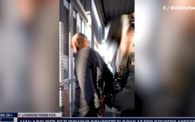 Trump admin nabs suspect who threw rocks at law enforcement during LA riots