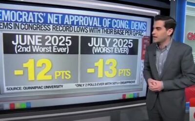 ‘Low enough for you?’: CNN’s Harry Enten says even Dem voters aren’t happy with party’s job performance