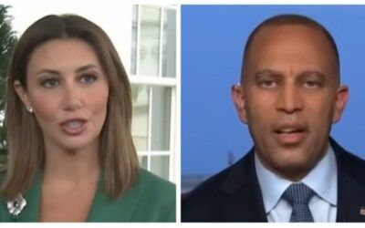 ‘Clear corruption’: Jeffries attempts to strong-arm federal judges to oust Alina Habba
