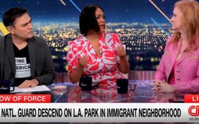 Former MSNBC host says with straight face ICE sends illegals to ‘concentration camps’