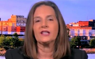MSNBC talking head says illegals could have ‘lawful’ right to use violence against ICE