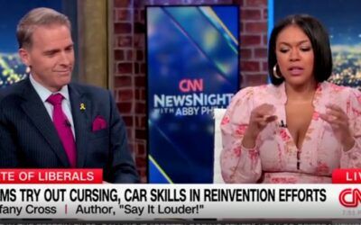 Scott Jennings sends former MSNBC host into tizzy when he calls out her ‘concentration camps’ rhetoric
