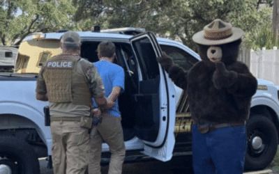 ‘Only in Florida’: Smokey the Bear helps nab ‘idiot’ suspect who posted stolen signs on Facebook