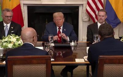 ‘Go a little bit quicker’: Trump tells chatty African leaders to cut to the chase