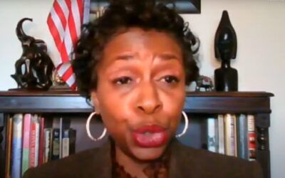House Dem admits mass immigration is about importing Democratic voters