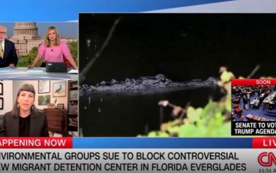 Green org leader admits she’s ‘more concerned’ about wildlife than living humans at Alligator Alcatraz
