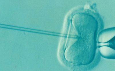 Surprise, your IVF baby isn’t even related to you: lawsuits highlight often ‘unreported’ fertility errors