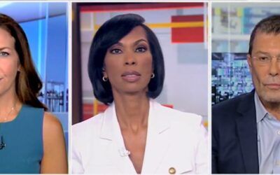 ‘Suicide march’: Dem strategist tells Harris Faulkner socialist, pro-Hamas wing could cause ‘death of’ his party