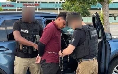 Penske Truck Rental issues warning to Trump admin over use of vehicle for ICE raid