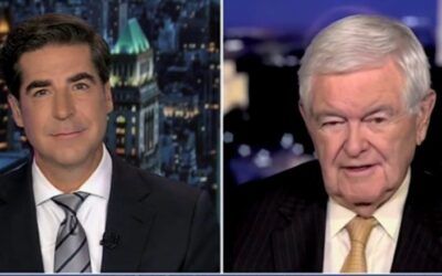Newt Gingrich says democrats did something not seen since the 1930s