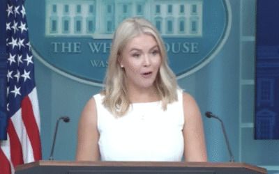 Karoline Leavitt shreds NYT face over question about Trump, Putin