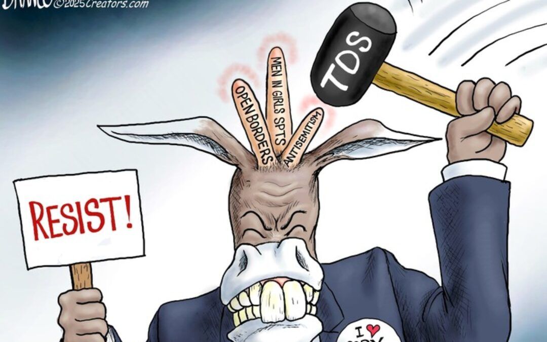 BS daily political cartoons: Kamala’s book or Yellow Pages? Tough choice.