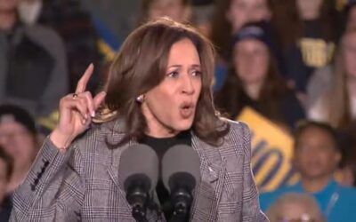 Majority of California Dems think Kamala Harris should pass on another White House run: Poll
