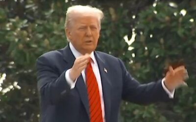 ‘Sir, why are you on the roof?’ Trump shouts to startled reporters from White House roof