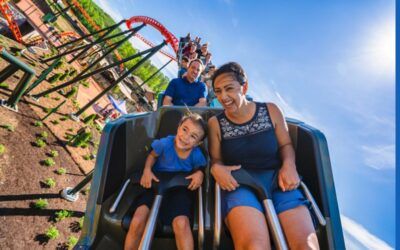 Disney pays big price for stomping on family values, Magic Kingdom ousted from top theme park spot