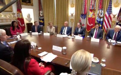 Gabbard uncovers evidence of 2020 election fraud in burn bags, Trump demands special prosecutor