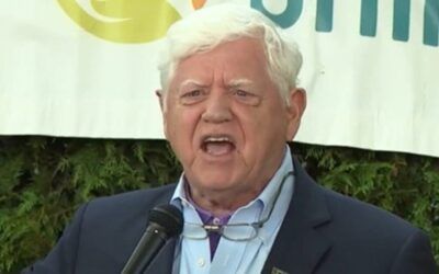 ‘Unhinged!’ House Dem calls for people to ‘rise up’ against ICE ‘Gestapo’