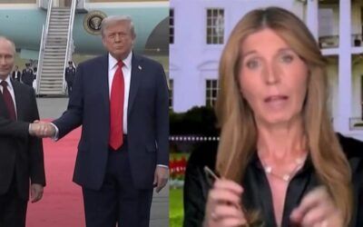 Nicolle Wallace attacks Trump in profanity-laced on-air rant over the prospect of peace in Ukraine