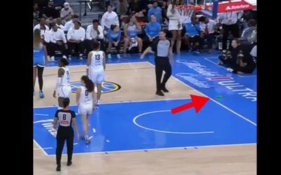 WNBA game is stopped because why???