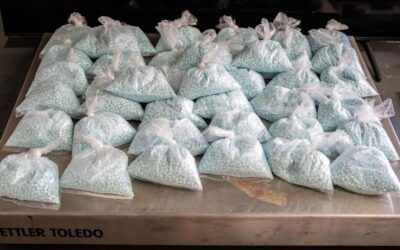 DEA surge nets drugs, 617 arrests, 420 firearms, $11 million in cash