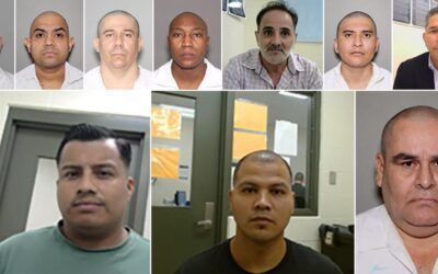 ICE Houston makes more than 800 arrests in one week!