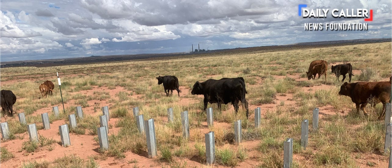 Solar panel testing/ via Arizona Rancher Rusty DeSpain