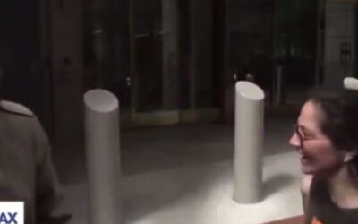 Jeanine Pirro wants prison time for woman who allegedly spat at Ed Martin on live TV