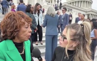 ‘This is the kind of journalism we don’t need’: Maxine Waters snaps when asked about healthcare for illegal immigrants