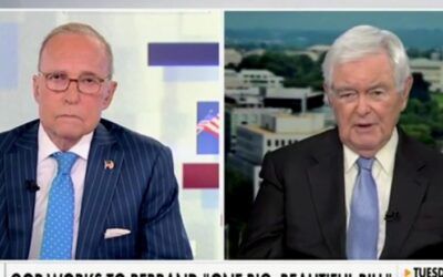 ‘Republicans have to learn to drive that message’: Newt Gingrich warns GOP is missing easy wins in gubernatorial races