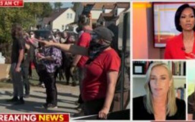 ‘Violence is not the answer, period!’: Harris Faulkner erupts at Dem guest during anti-ICE riot