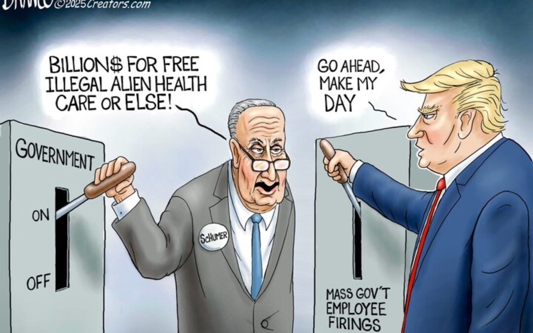 BS daily political cartoons: Go ahead, make my day!