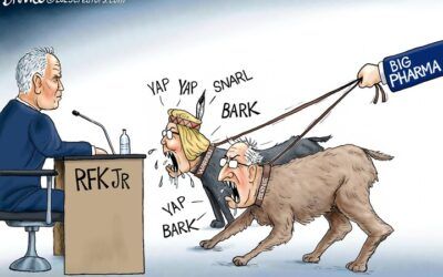 BS daily political cartoons: Is there a doctor in the House?