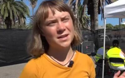 Drone or drama? Greta Thunberg’s Gaza-bound boat explodes with fire amid suspicious claims