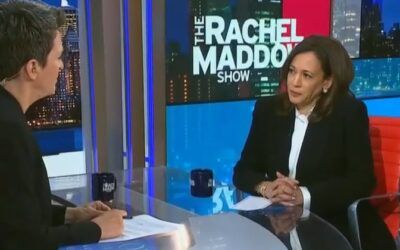 ‘Salt meet wound’: Kamala Harris lays into CEOs as Democrats fume over her book