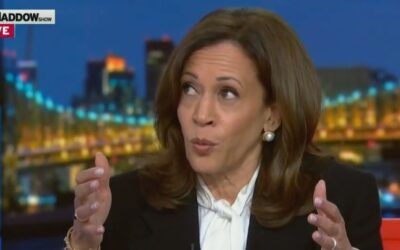 Kamala Harris admits a Fox News mole leaked election night data to her team