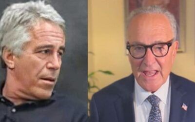 Senate GOP foils Schumer’s slimy move to force Epstein file release