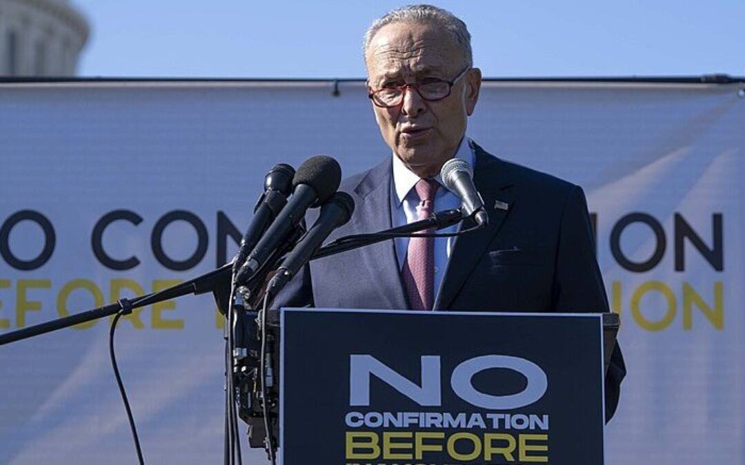 Schumer shutdown becomes circular firing squad after growing number of Democrats call for his ouster