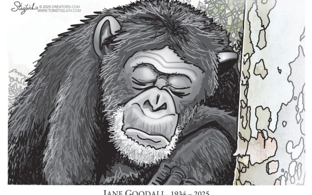 BS political cartoons of the week: Rest in peace, Jane Goodall