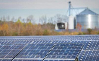 Legal nonprofit scrutinized over alleged Chinese influence ahead of climate case