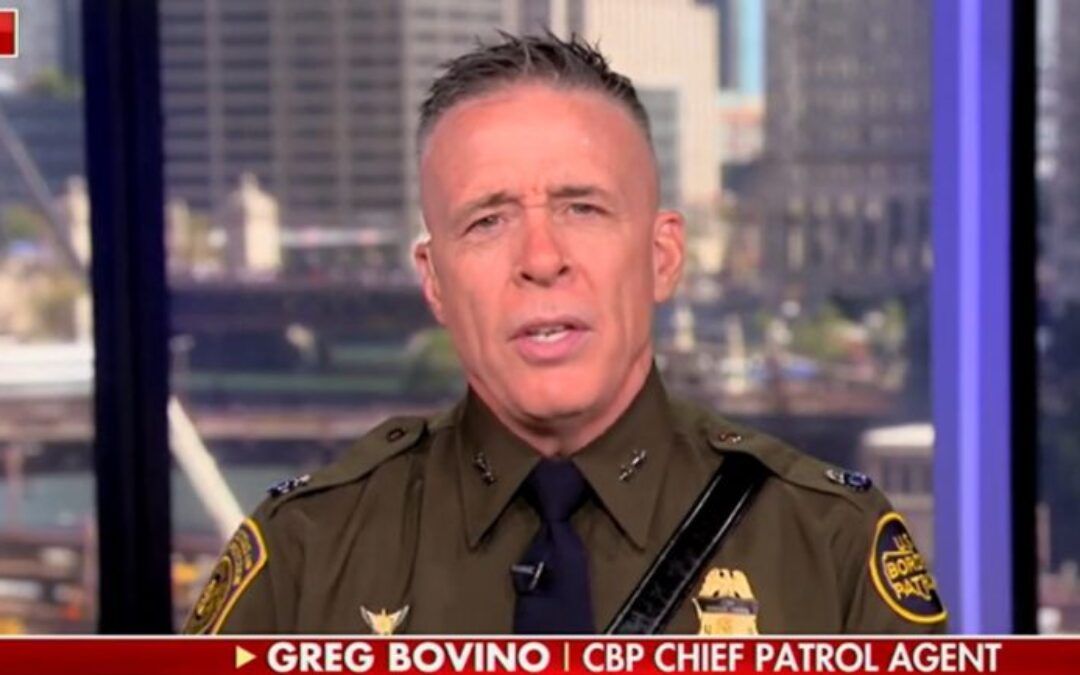 Border patrol commander claps back after Newsom slams ICE from swanky globalist event
