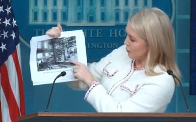 Karoline Leavitt brings receipts as reporter tries to stump her on construction at White House