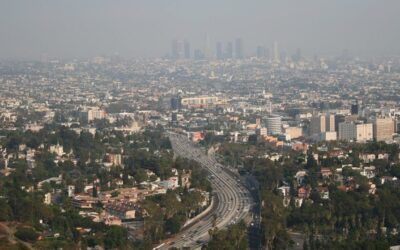 Los Angeles’s lurch towards extreme left becomes more likely after socialist enters mayoral race