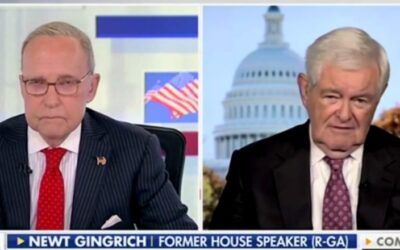Newt Gingrich explains Democrats’ biggest blunder during shutdown