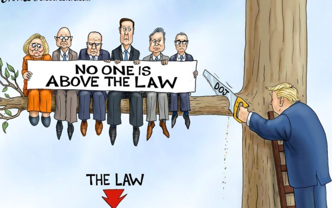 BS daily political cartoons: TIMBER!