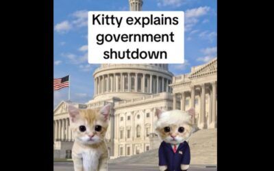 Dems’ cartoon kitty video on shutdown so awful, their own party BEGS them to take it down