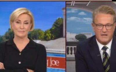 ‘No! No!’ Joe Scarborough explodes on smug wife Mika and her body language is everything