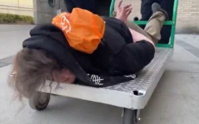 ICE’s ‘Ridin Dirty’ video of protester hauled out face-down on a dolly ‘possibly greatest social media post ever’