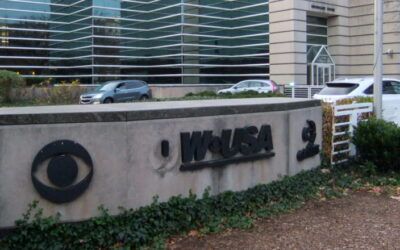 Bari Weiss reportedly planning to blow up legacy media giant